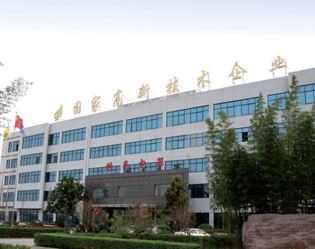2021`a(chn)Ʒփ